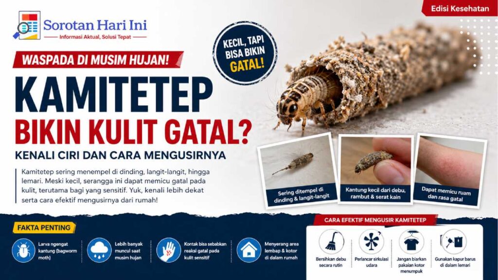 Kamitetep Bikin Kulit Gatal? Kenali Ciri dan Cara Mengusirnya