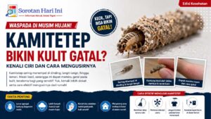 Kamitetep Bikin Kulit Gatal? Kenali Ciri dan Cara Mengusirnya