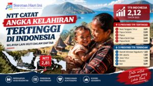 NTT Catat Angka Kelahiran Tertinggi di Indonesia, Wilayah Lain Ikuti dalam Daftar