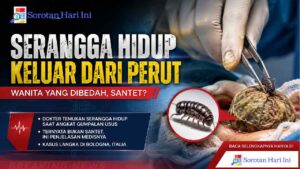 Serangga Hidup Keluar dari Perut Wanita yang Dibedah, Santet?